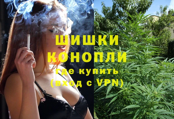 прущая мука Вяземский